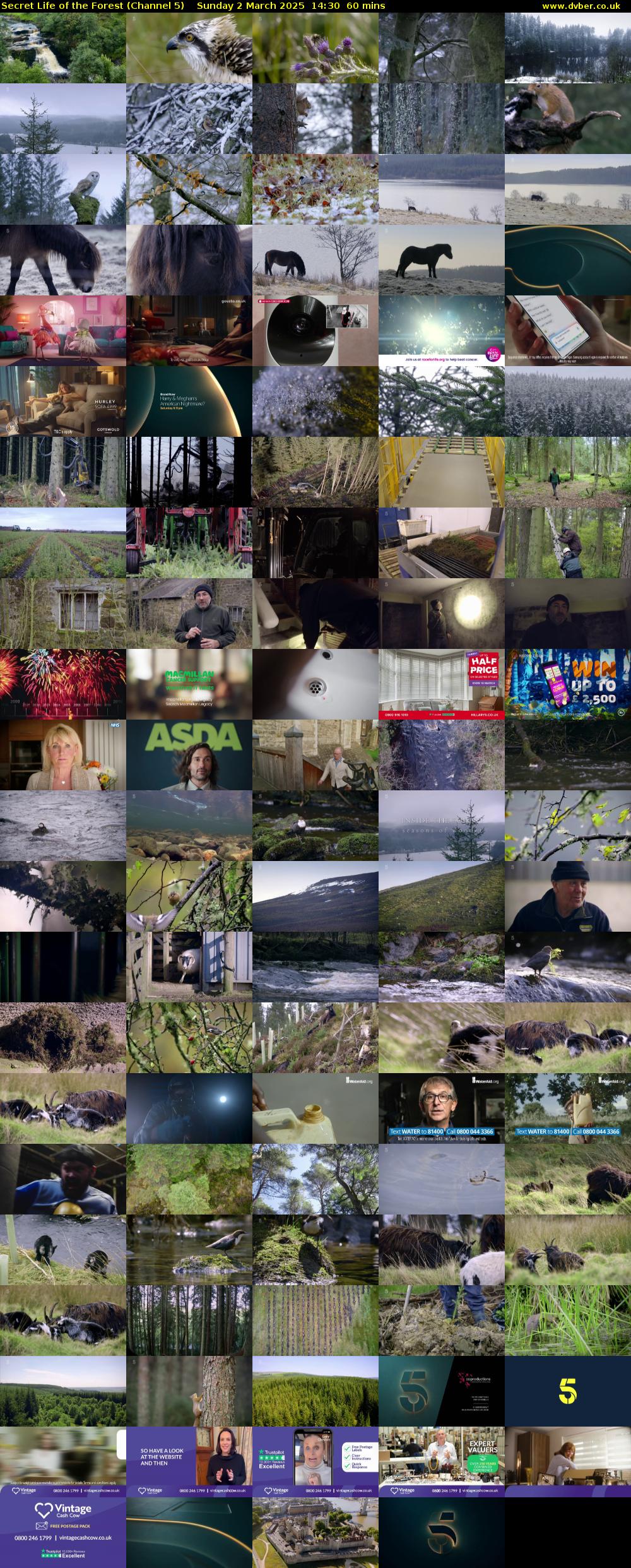 Secret Life of the Forest (Channel 5) Sunday 2 March 2025 14:30 - 15:30