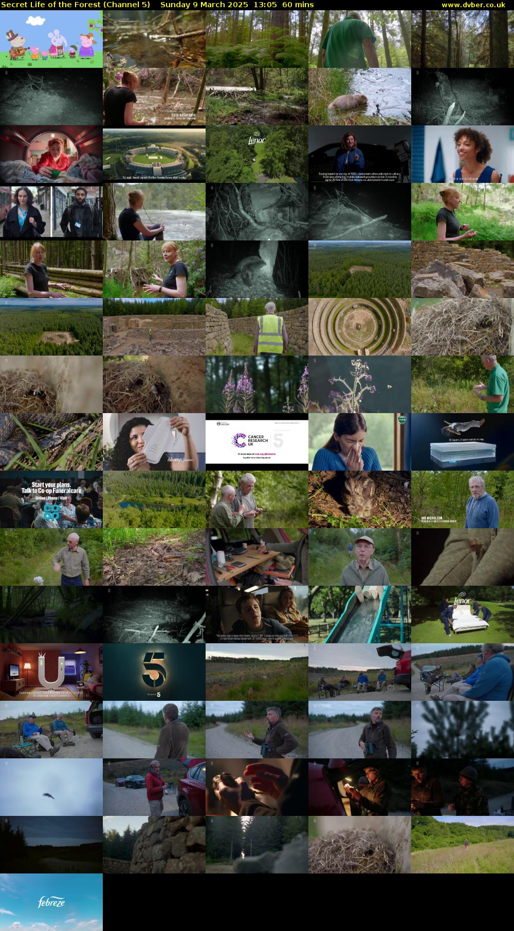 Secret Life of the Forest (Channel 5) Sunday 9 March 2025 13:05 - 14:05