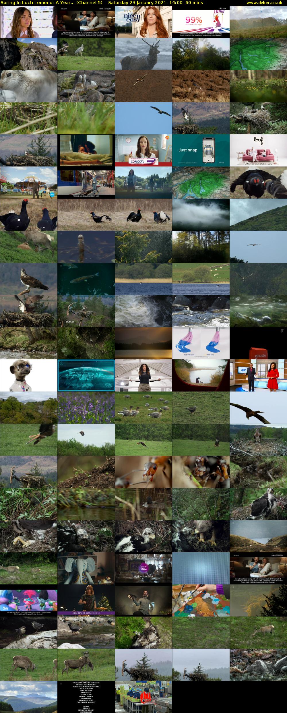 Spring In Loch Lomond: A Year... (Channel 5) Saturday 23 January 2021 14:00 - 15:00