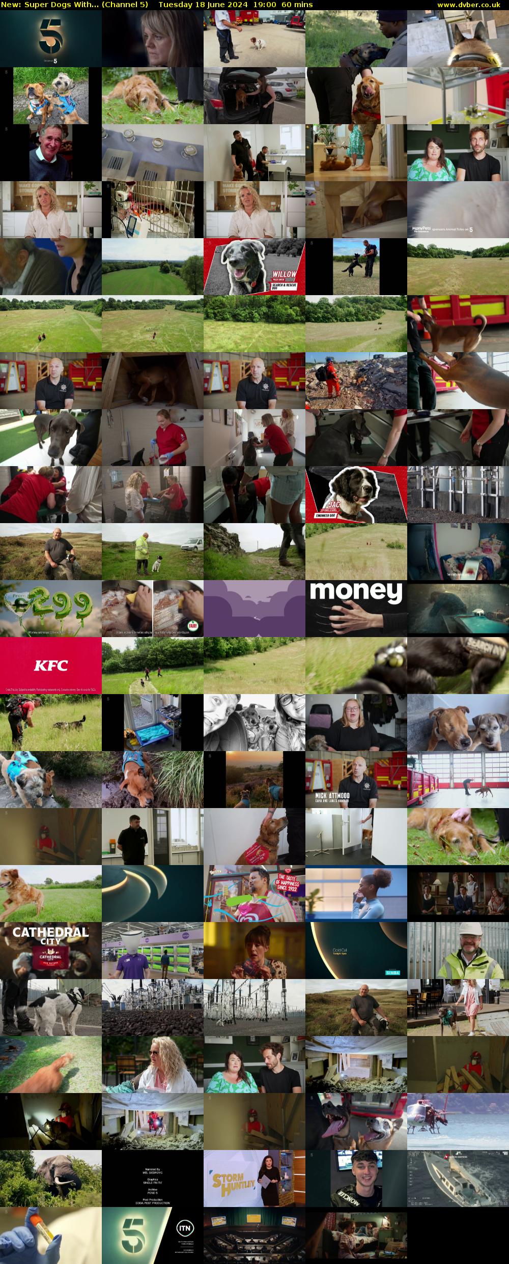 Super Dogs With... (Channel 5) Tuesday 18 June 2024 19:00 - 20:00