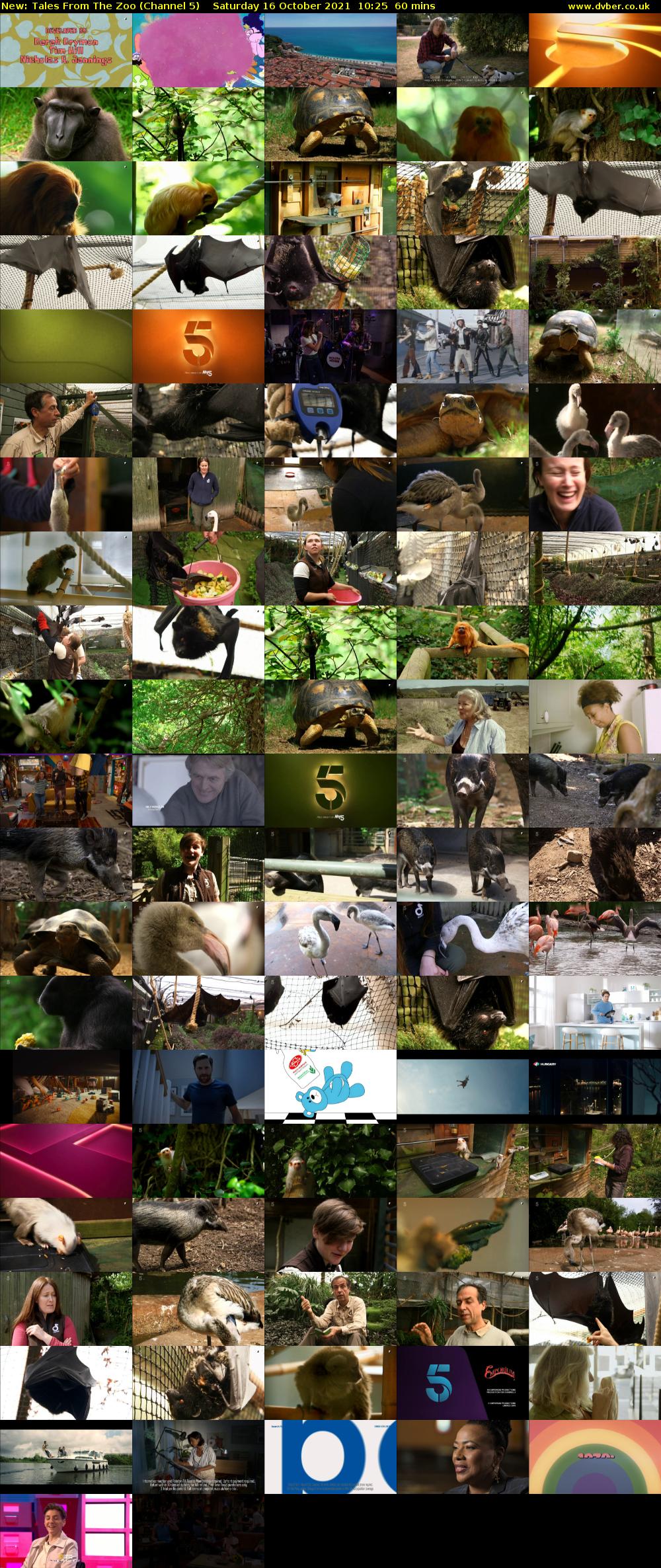 Tales From The Zoo (Channel 5) Saturday 16 October 2021 10:25 - 11:25