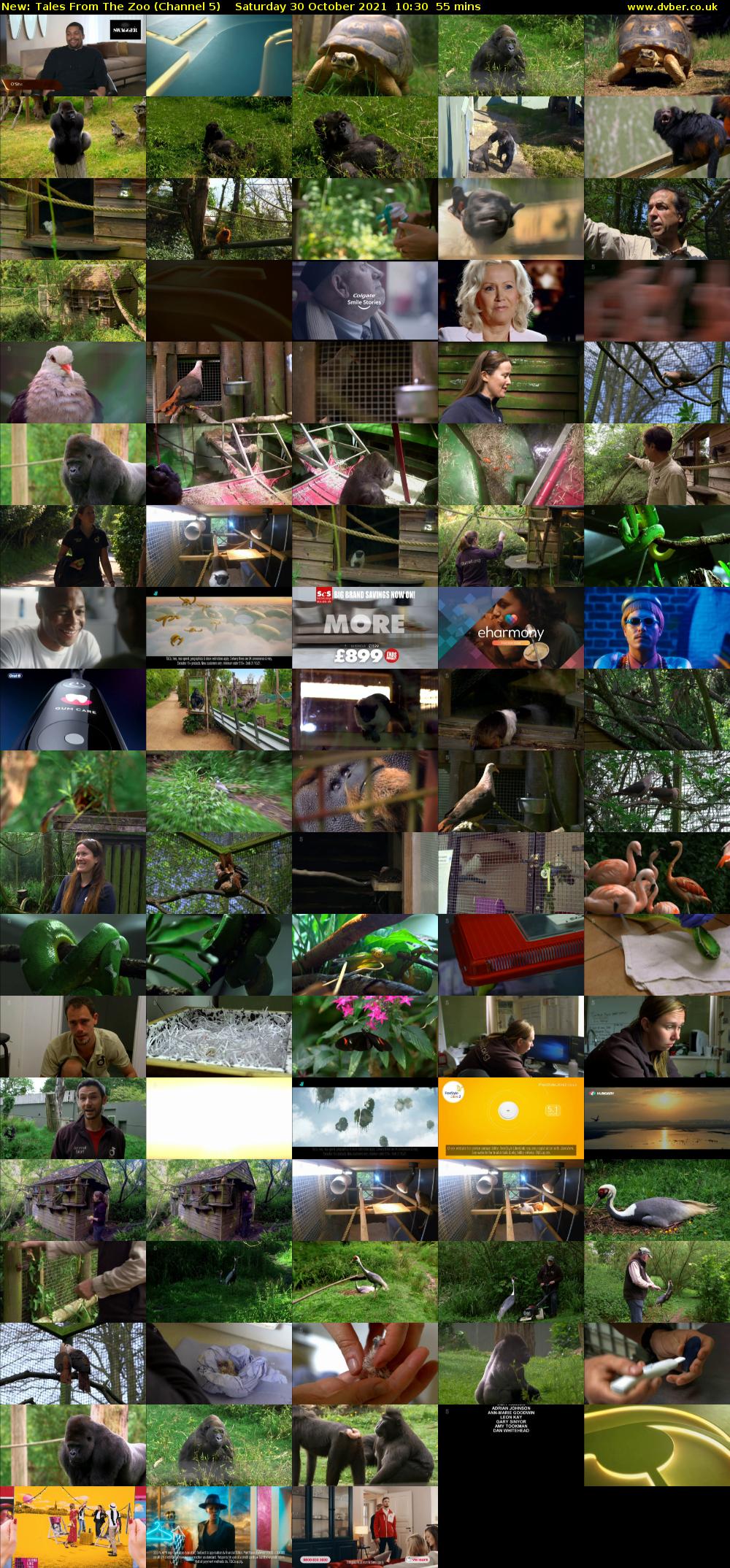 Tales From The Zoo (Channel 5) Saturday 30 October 2021 10:30 - 11:25