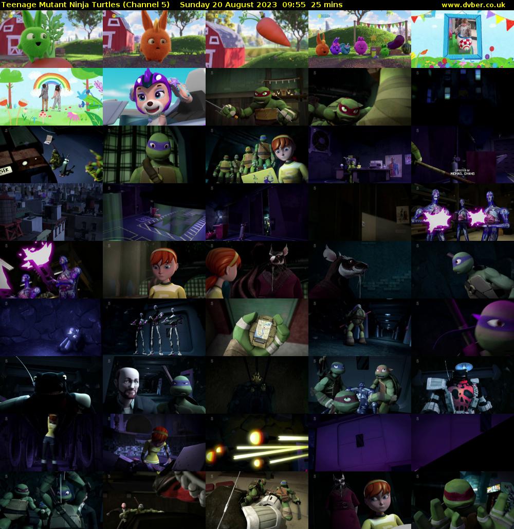 Teenage Mutant Ninja Turtles (Channel 5) Sunday 20 August 2023 09:55 - 10:20