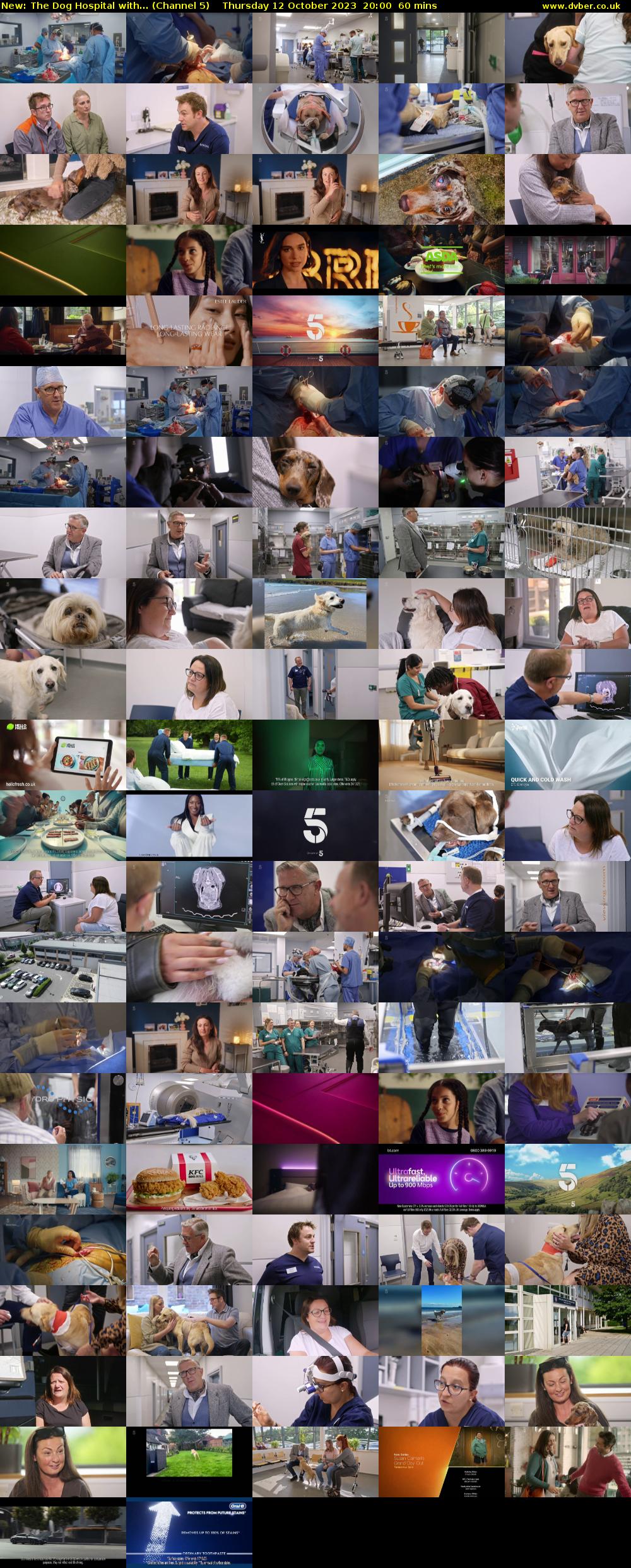 The Dog Hospital with... (Channel 5) Thursday 12 October 2023 20:00 - 21:00