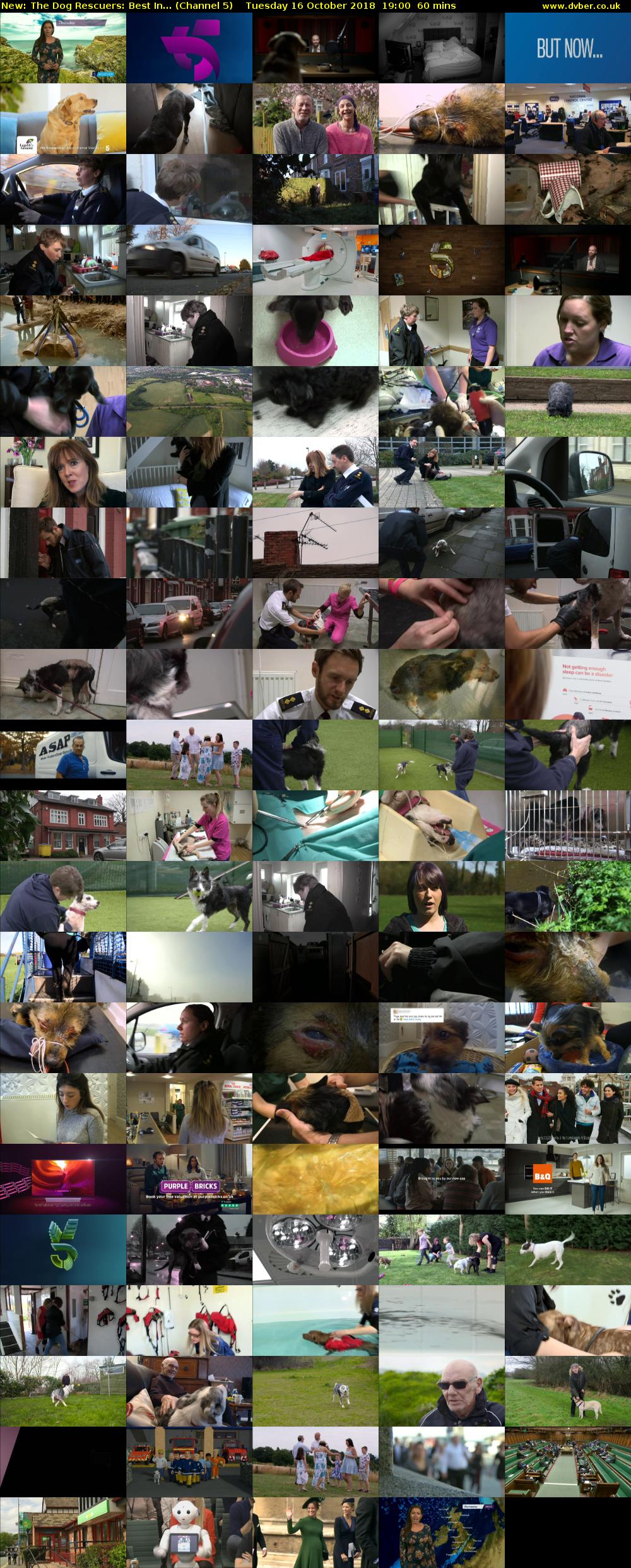 The Dog Rescuers: Best In... (Channel 5) Tuesday 16 October 2018 19:00 - 20:00