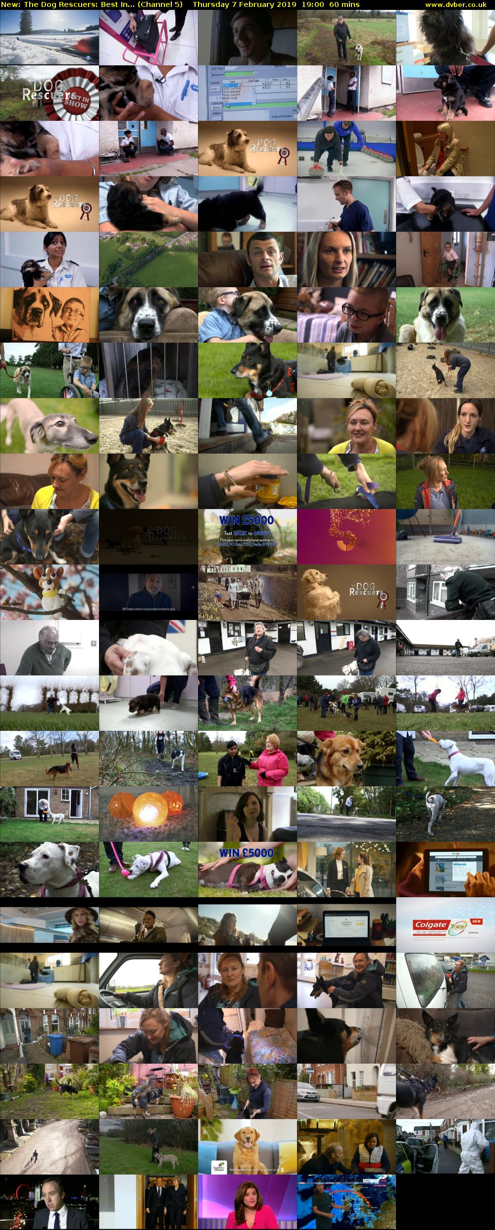 The Dog Rescuers: Best In... (Channel 5) Thursday 7 February 2019 19:00 - 20:00