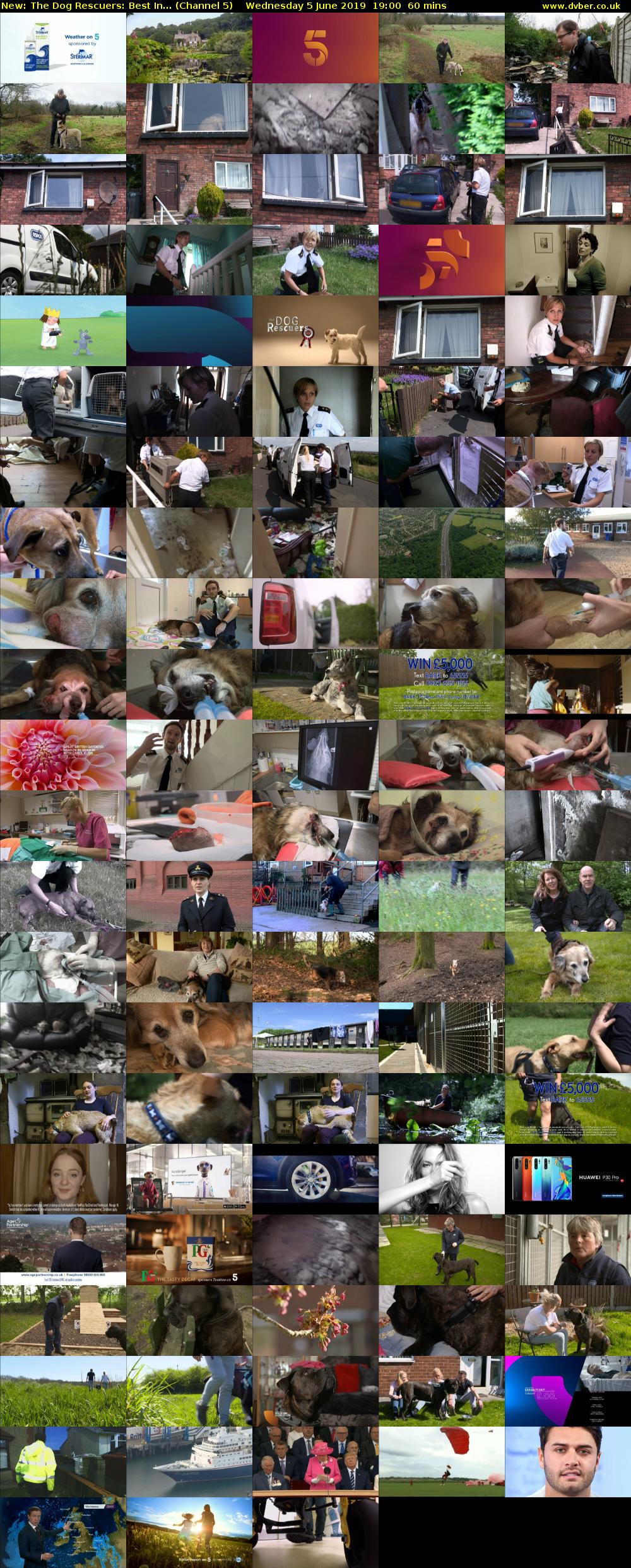 The Dog Rescuers: Best In... (Channel 5) Wednesday 5 June 2019 19:00 - 20:00