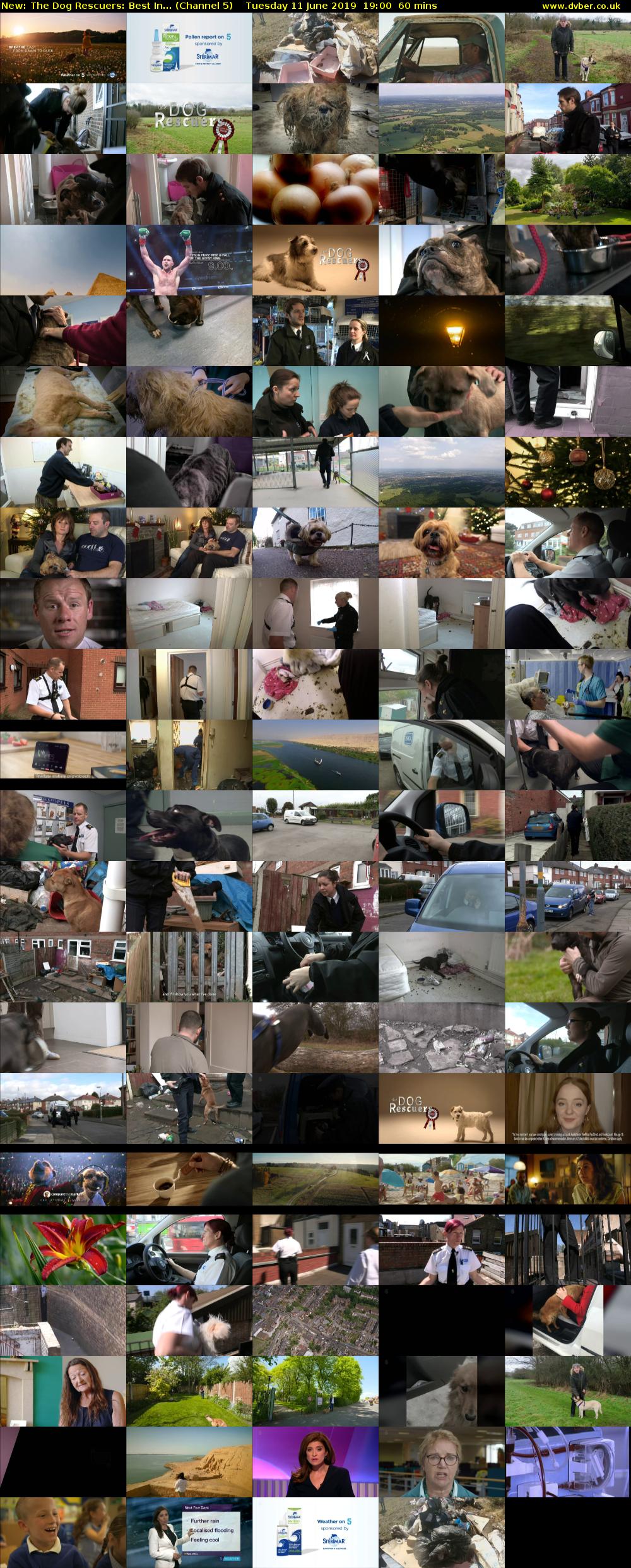 The Dog Rescuers: Best In... (Channel 5) Tuesday 11 June 2019 19:00 - 20:00