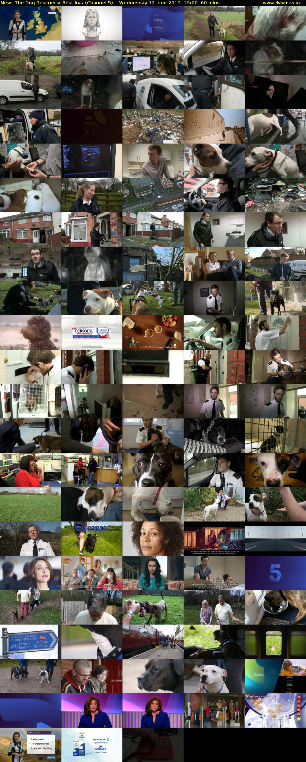 The Dog Rescuers: Best In... (Channel 5) Wednesday 12 June 2019 19:00 - 20:00