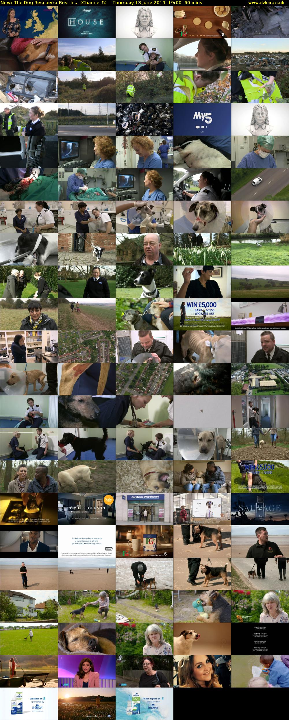 The Dog Rescuers: Best In... (Channel 5) Thursday 13 June 2019 19:00 - 20:00