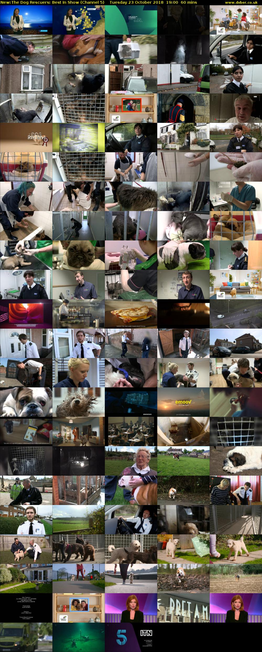 The Dog Rescuers: Best In Show (Channel 5) Tuesday 23 October 2018 19:00 - 20:00