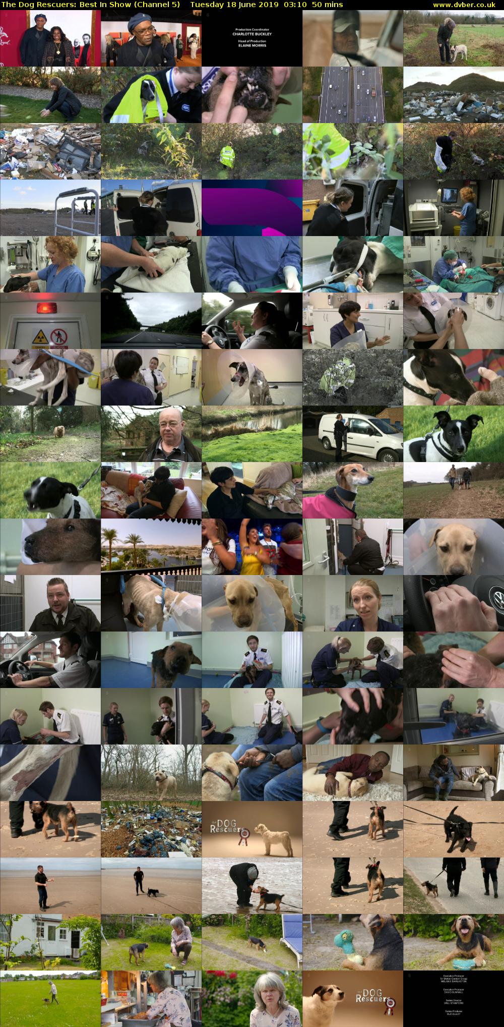 The Dog Rescuers: Best In Show (Channel 5) Tuesday 18 June 2019 03:10 - 04:00
