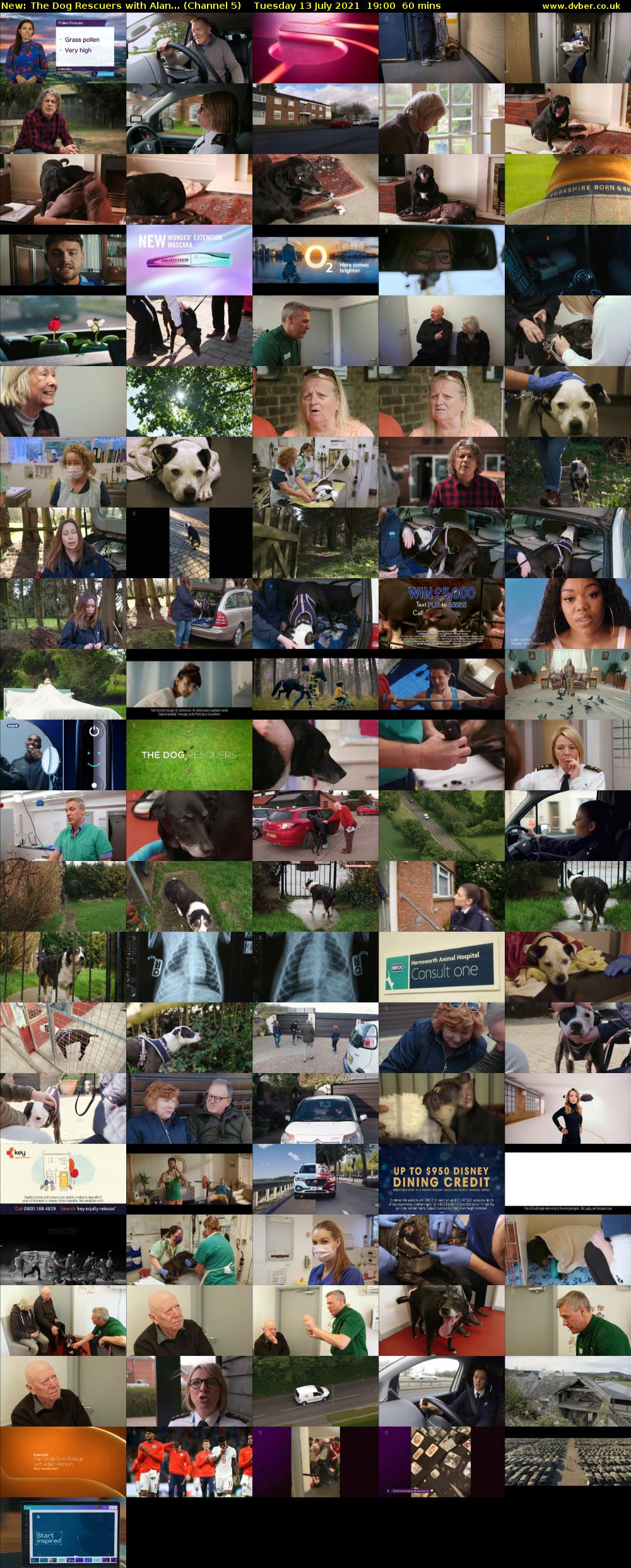 The Dog Rescuers With Alan... (Channel 5) Tuesday 13 July 2021 19:00 - 20:00