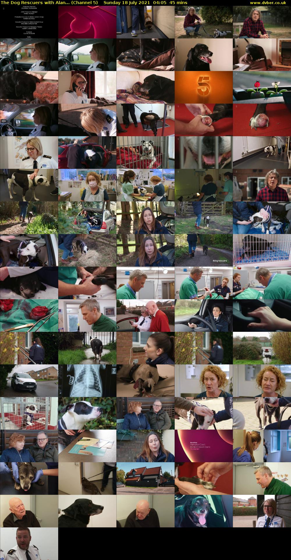 The Dog Rescuers With Alan... (Channel 5) Sunday 18 July 2021 04:05 - 04:50