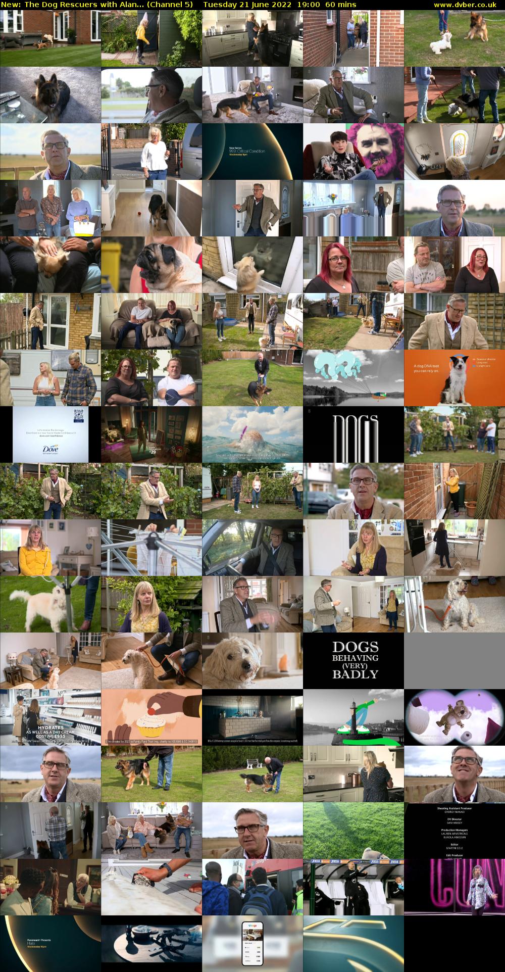 The Dog Rescuers With Alan... (Channel 5) Tuesday 21 June 2022 19:00 - 20:00