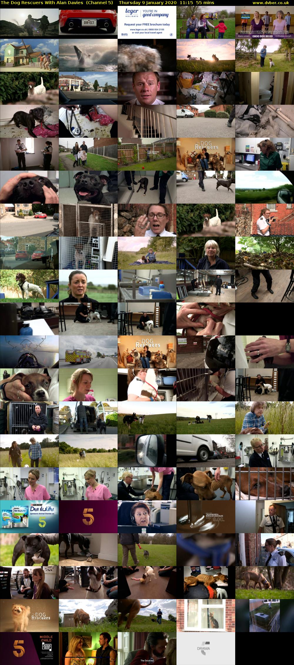 The Dog Rescuers With Alan Davies  (Channel 5) Thursday 9 January 2020 11:15 - 12:10