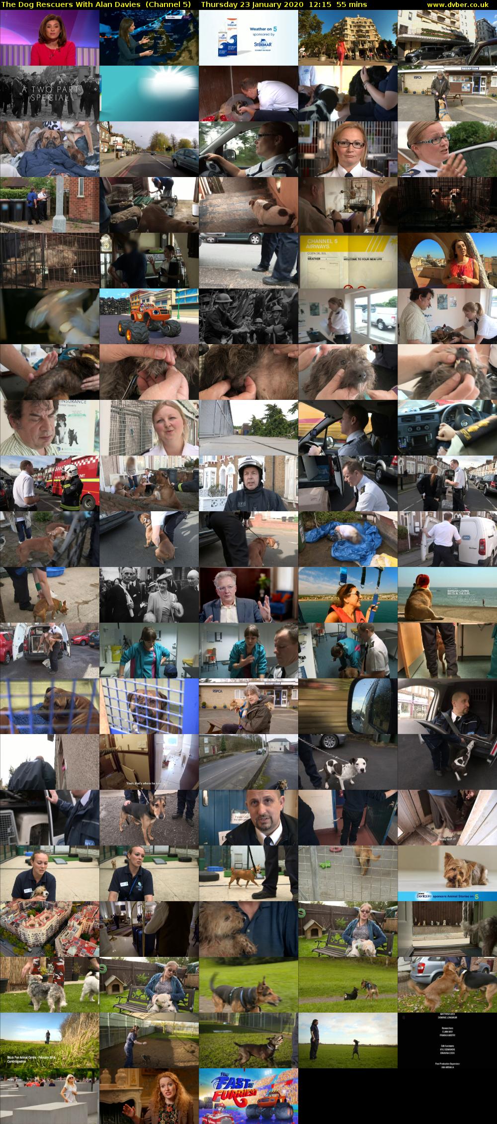 The Dog Rescuers With Alan Davies  (Channel 5) Thursday 23 January 2020 12:15 - 13:10