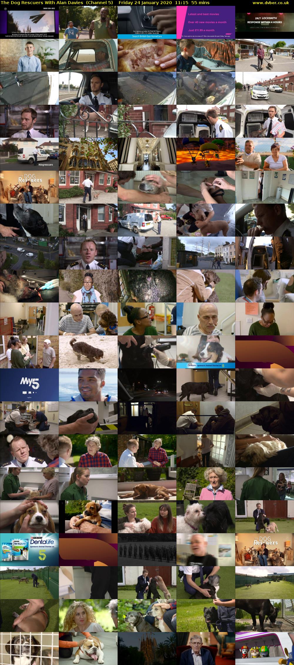 The Dog Rescuers With Alan Davies  (Channel 5) Friday 24 January 2020 11:15 - 12:10