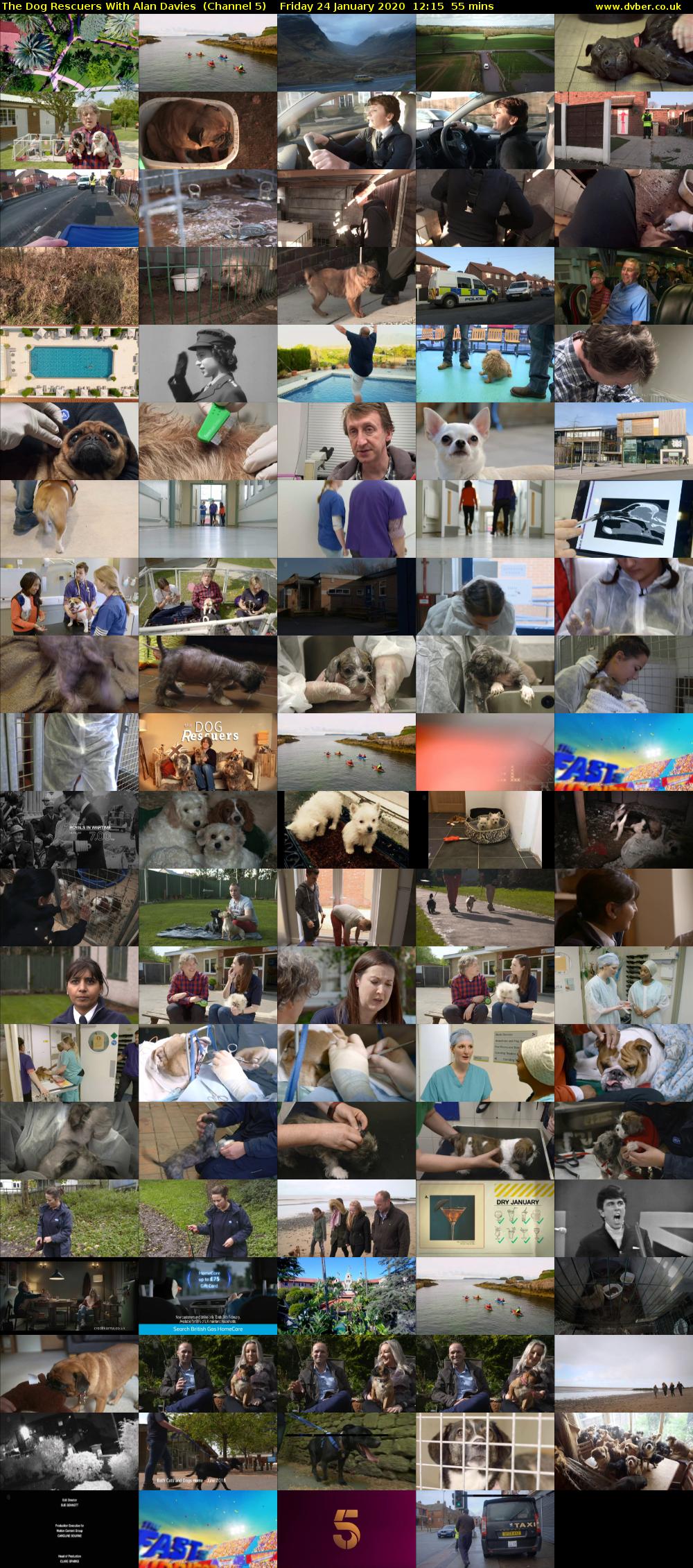 The Dog Rescuers With Alan Davies  (Channel 5) Friday 24 January 2020 12:15 - 13:10