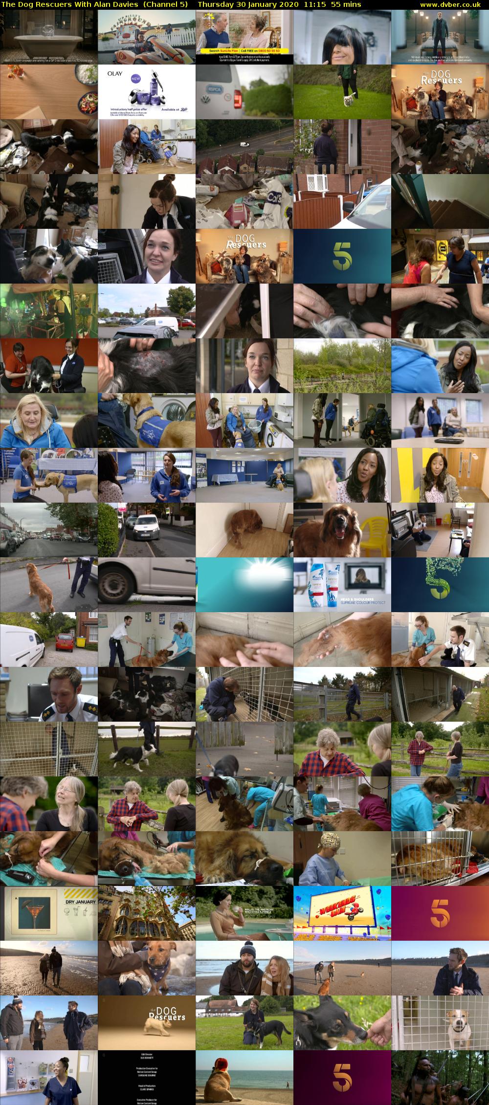 The Dog Rescuers With Alan Davies  (Channel 5) Thursday 30 January 2020 11:15 - 12:10