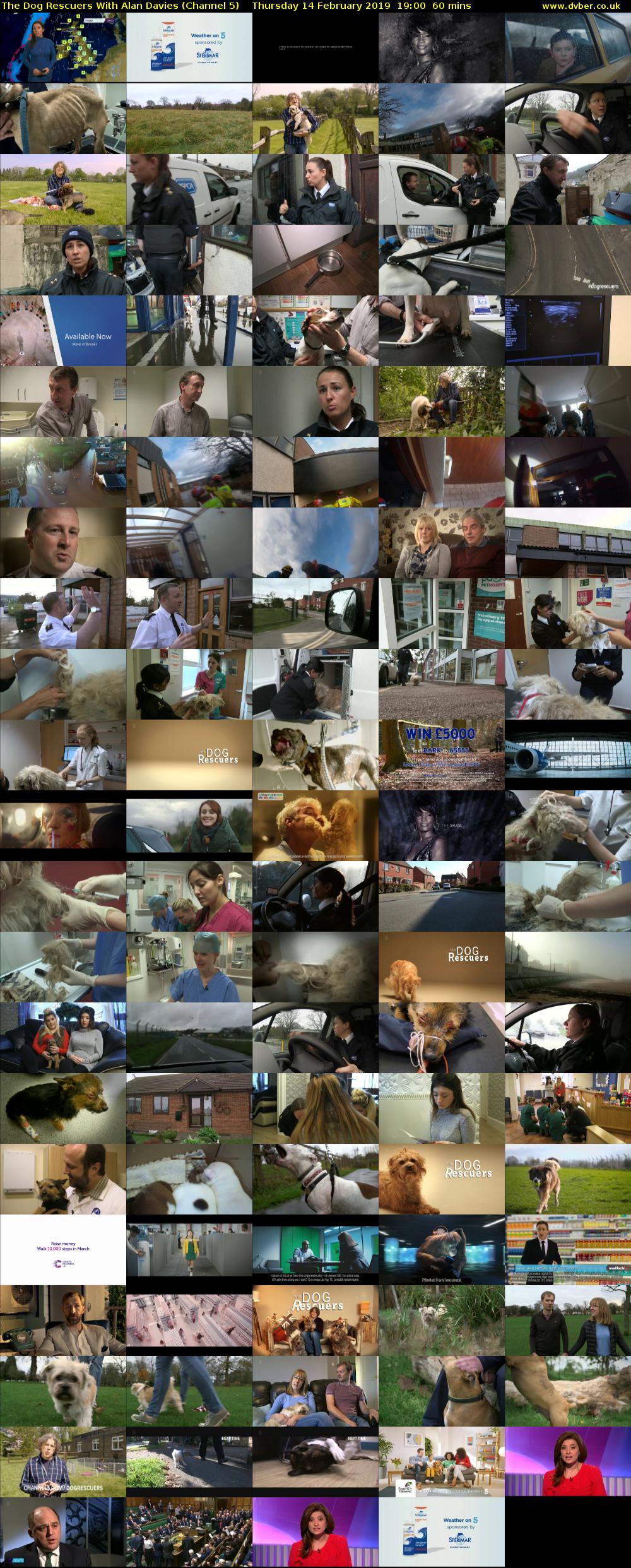The Dog Rescuers With Alan Davies (Channel 5) Thursday 14 February 2019 19:00 - 20:00