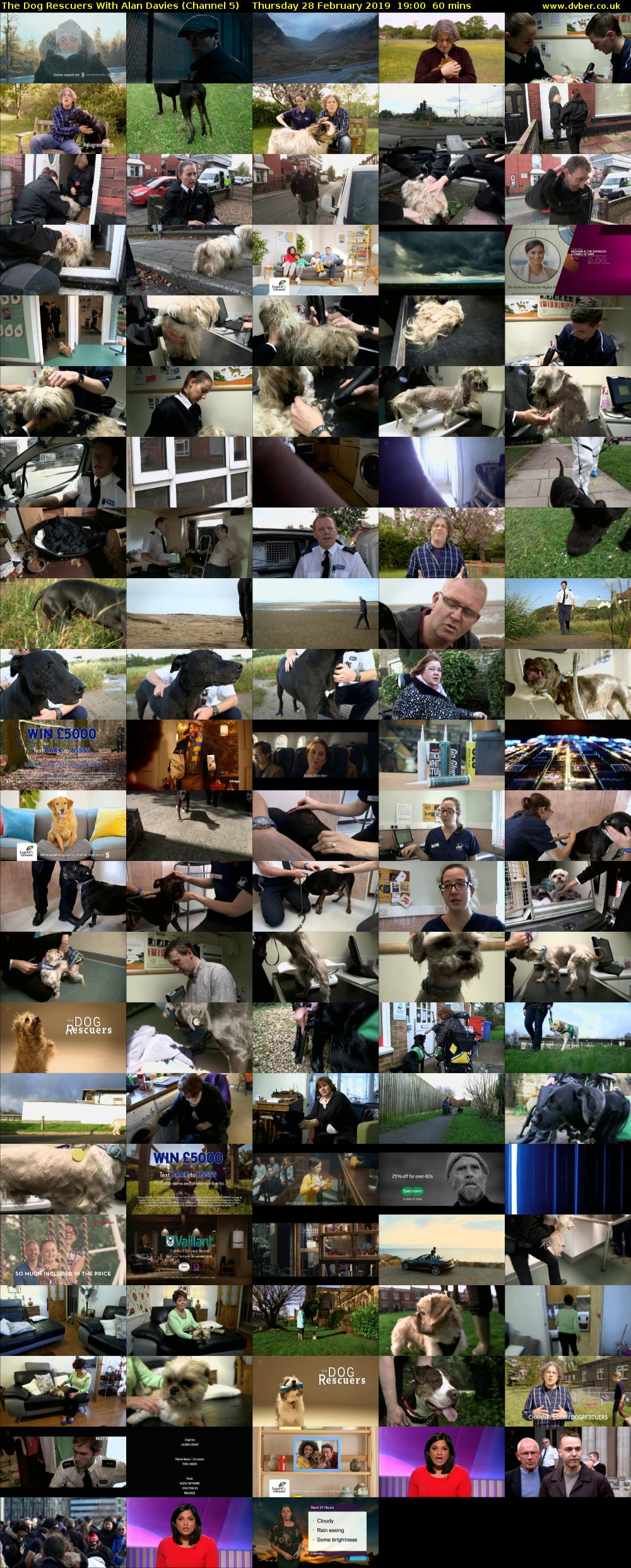 The Dog Rescuers With Alan Davies (Channel 5) Thursday 28 February 2019 19:00 - 20:00