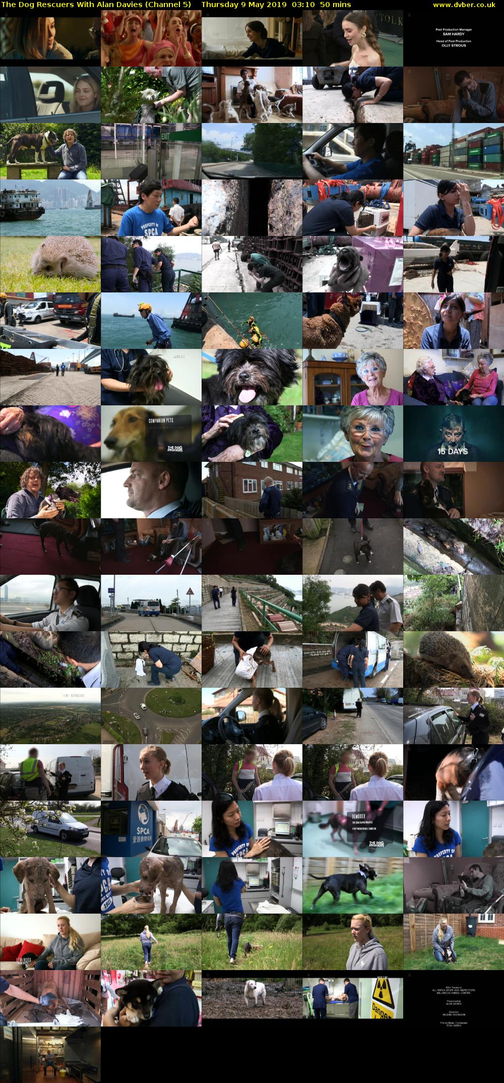 The Dog Rescuers With Alan Davies (Channel 5) Thursday 9 May 2019 03:10 - 04:00
