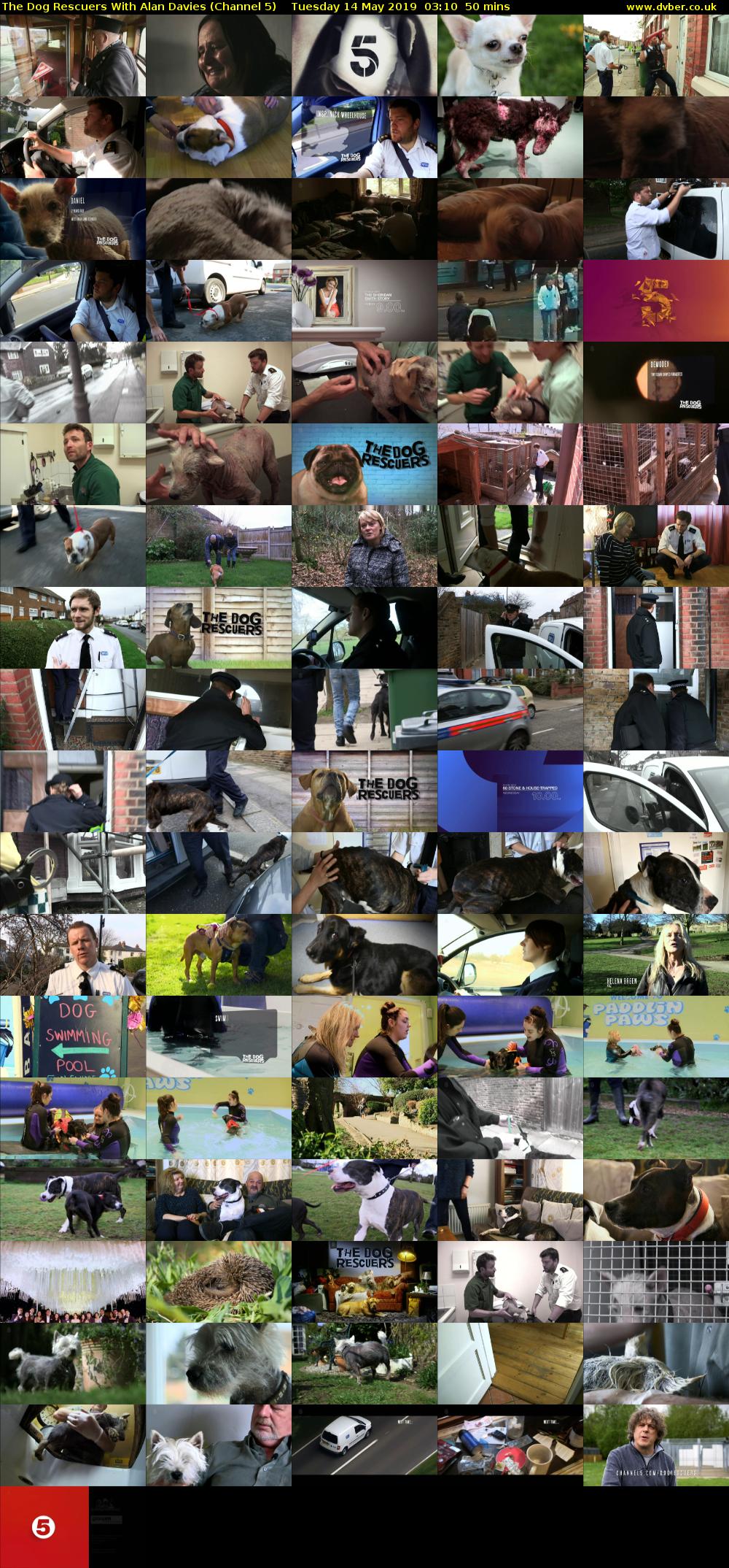 The Dog Rescuers With Alan Davies (Channel 5) Tuesday 14 May 2019 03:10 - 04:00