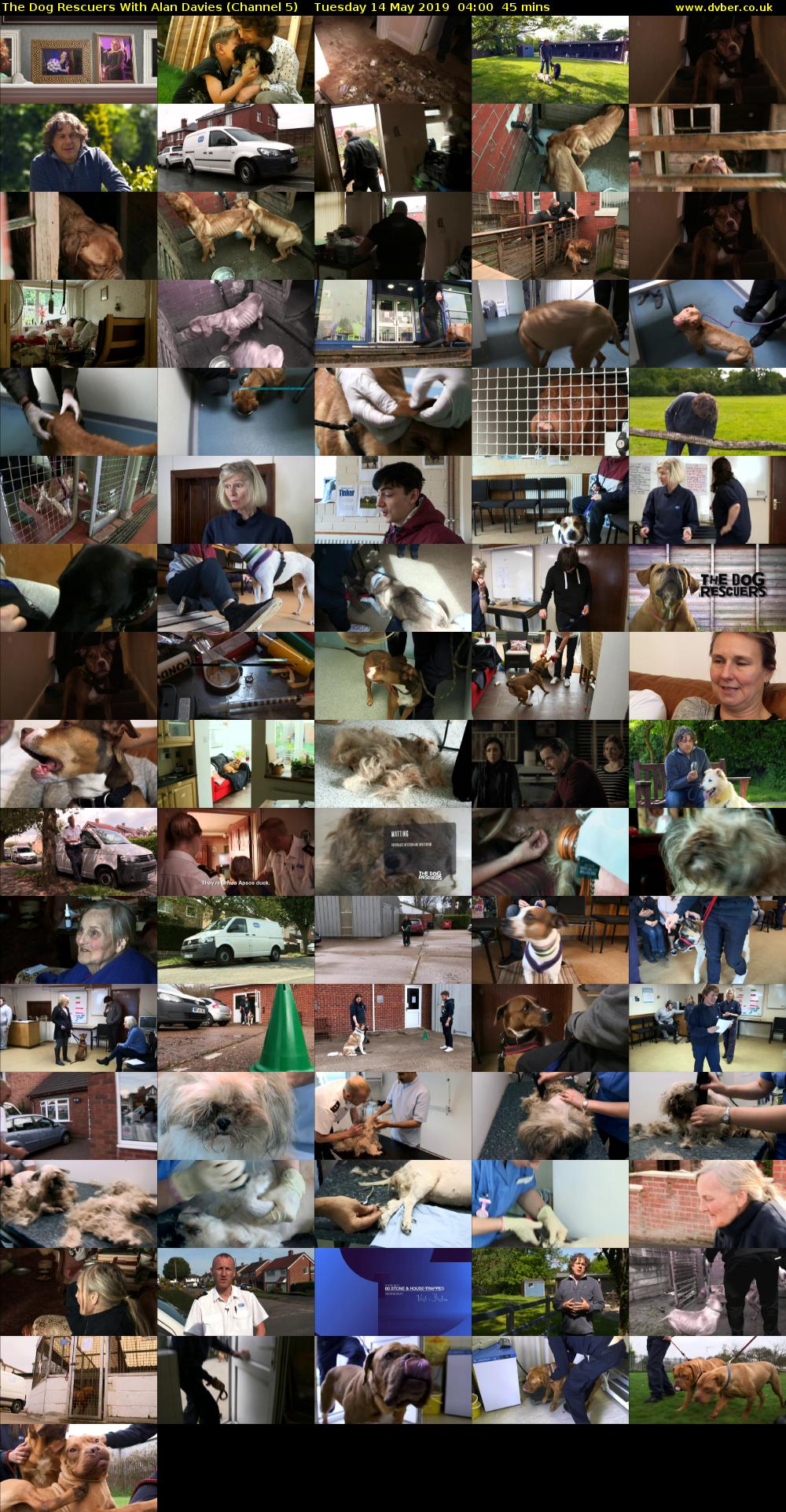 The Dog Rescuers With Alan Davies (Channel 5) Tuesday 14 May 2019 04:00 - 04:45