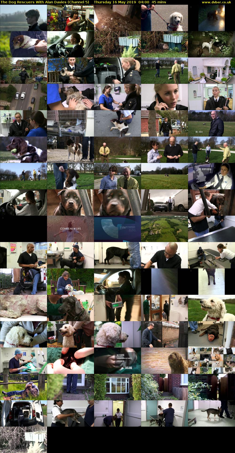 The Dog Rescuers With Alan Davies (Channel 5) Thursday 16 May 2019 04:00 - 04:45
