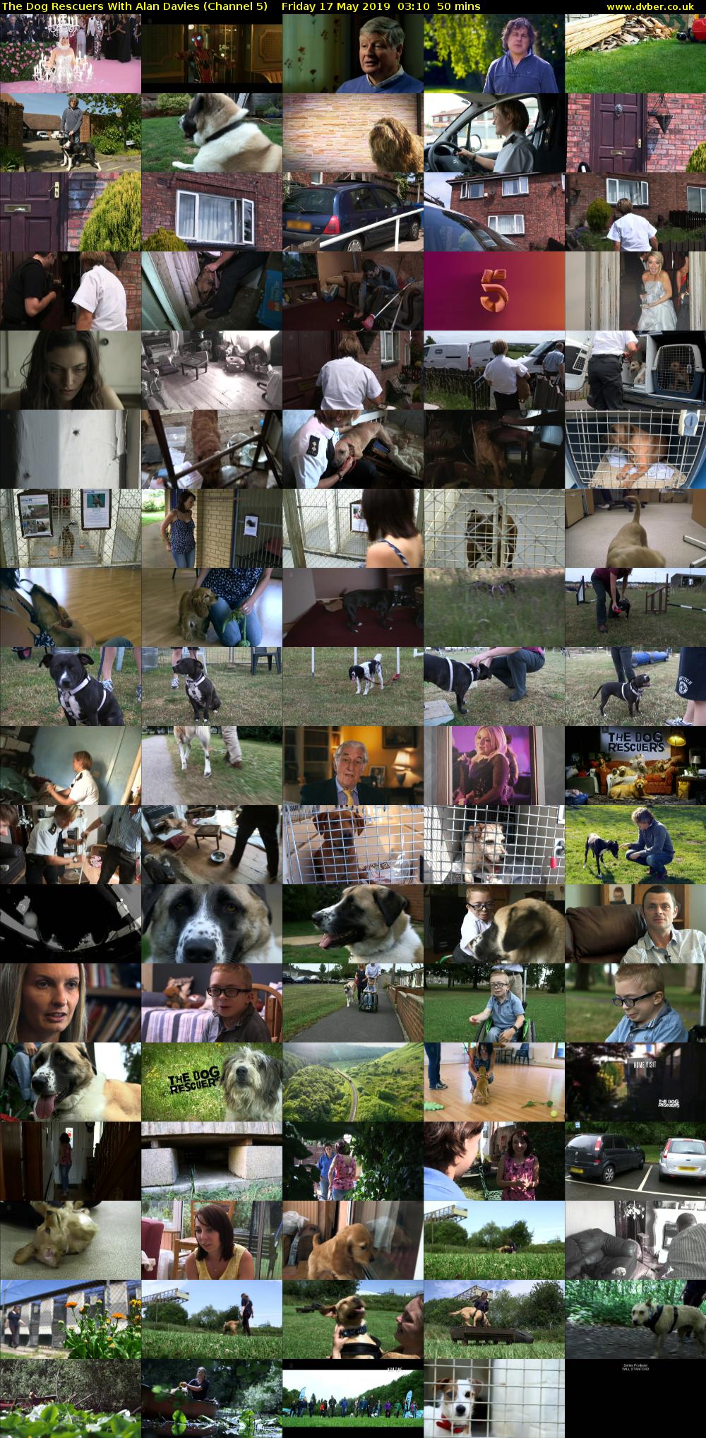 The Dog Rescuers With Alan Davies (Channel 5) Friday 17 May 2019 03:10 - 04:00