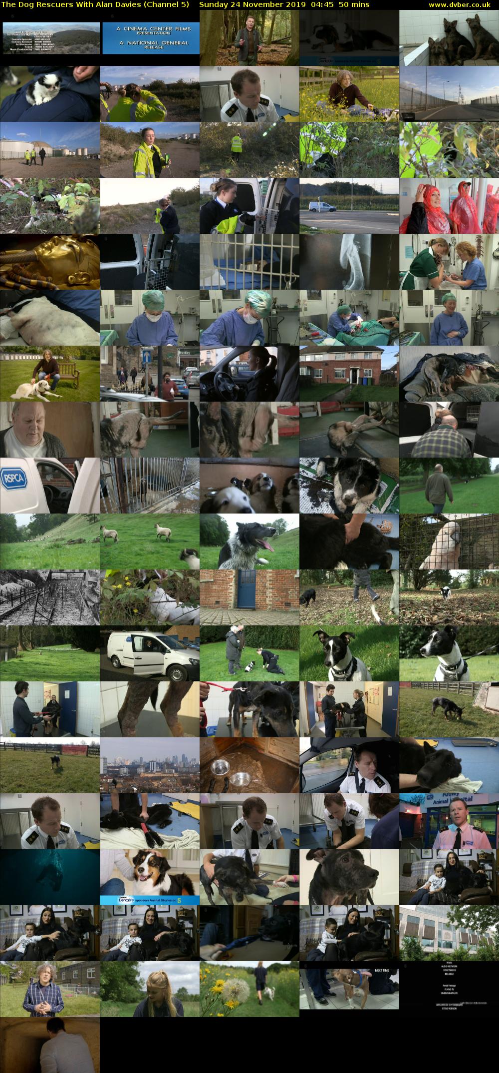 The Dog Rescuers With Alan Davies (Channel 5) Sunday 24 November 2019 04:45 - 05:35