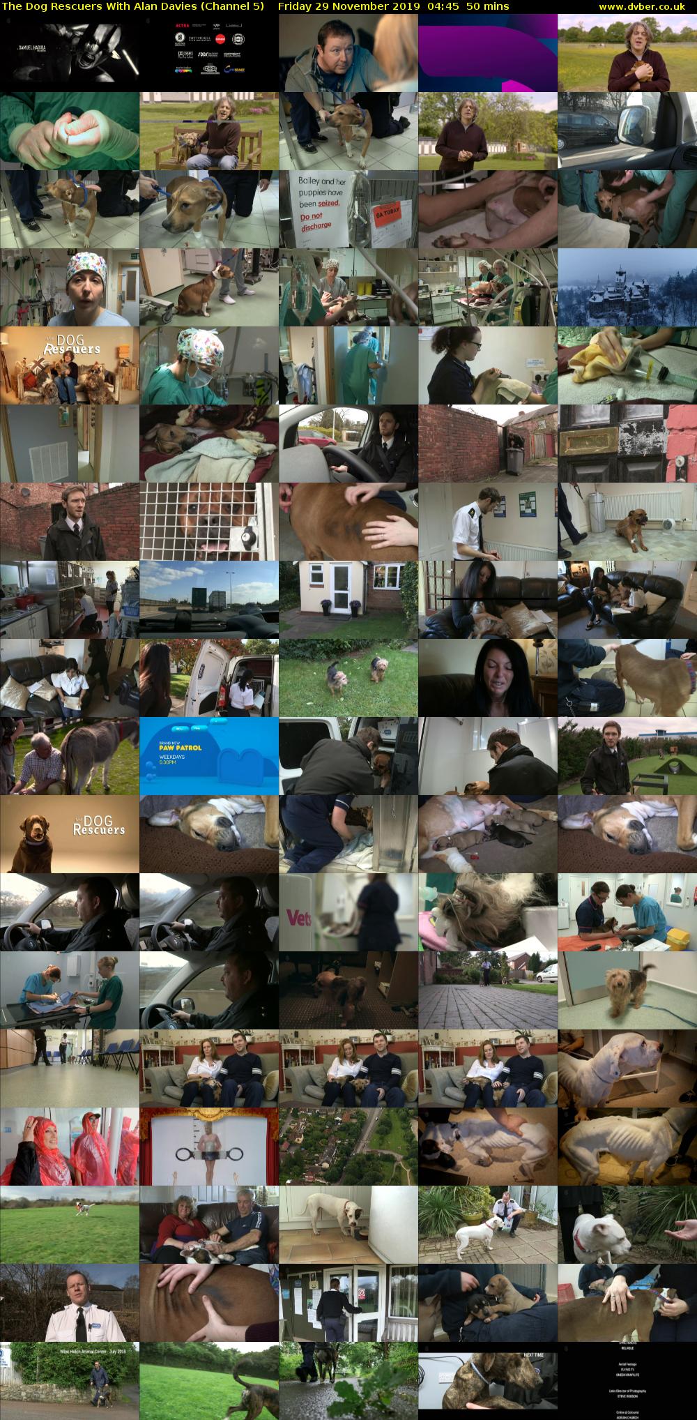 The Dog Rescuers With Alan Davies (Channel 5) Friday 29 November 2019 04:45 - 05:35