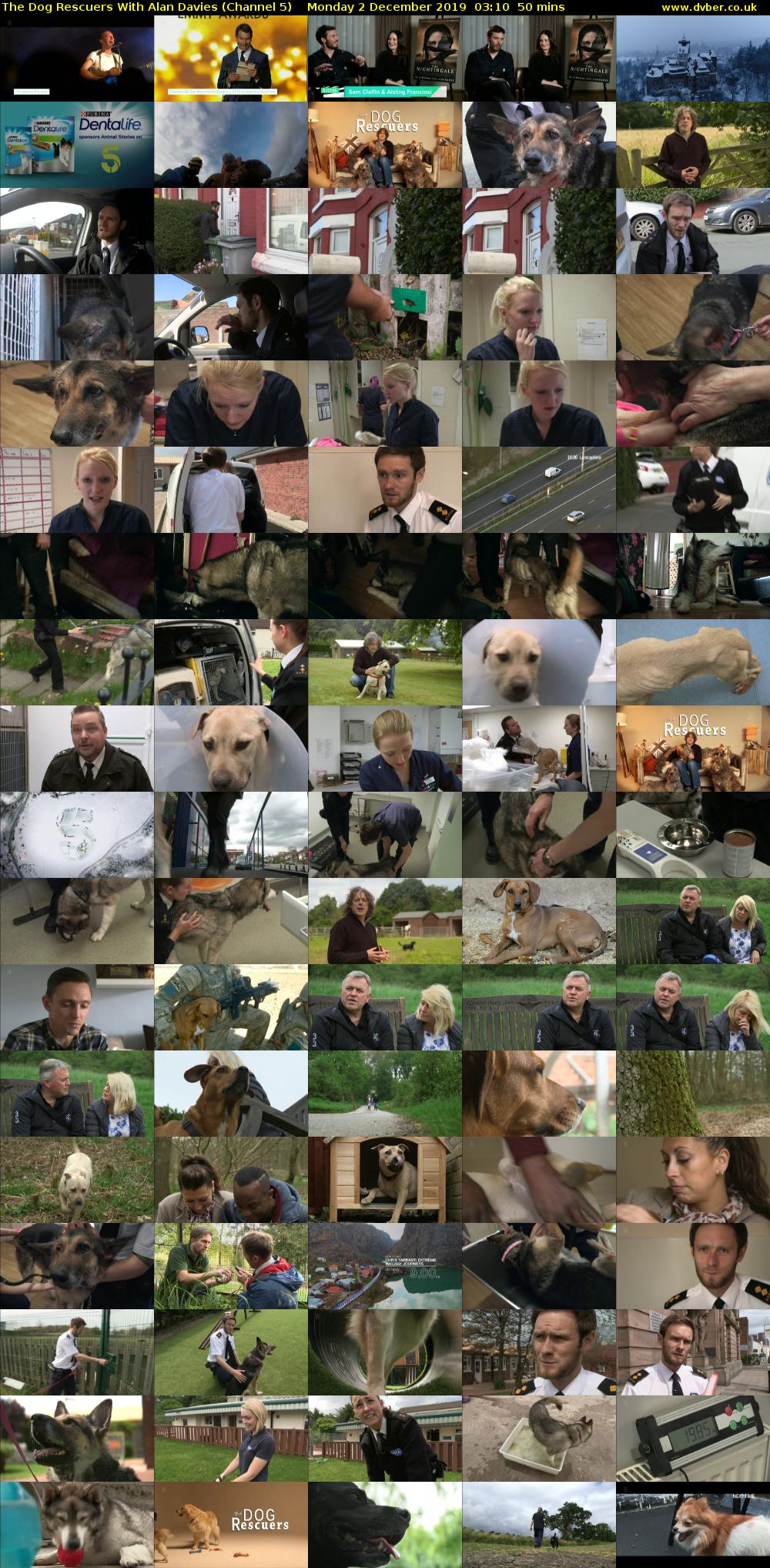 The Dog Rescuers With Alan Davies (Channel 5) Monday 2 December 2019 03:10 - 04:00