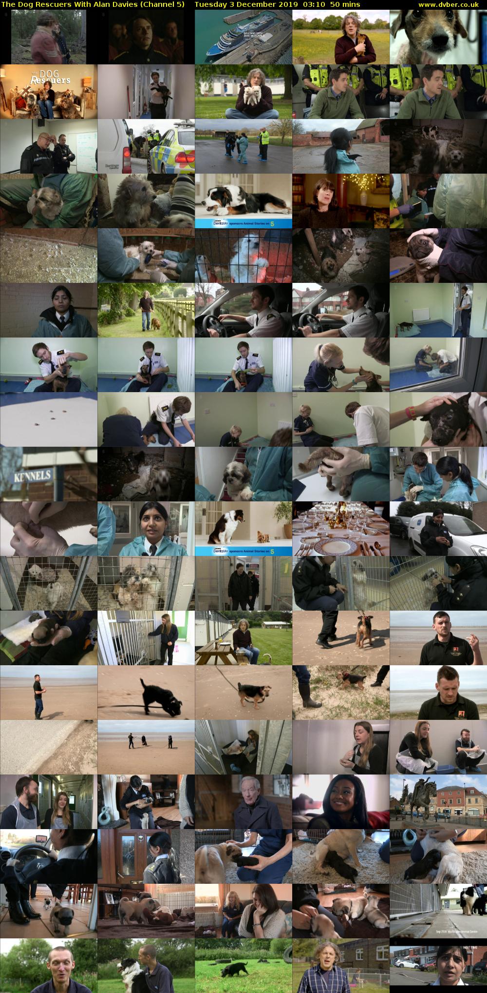 The Dog Rescuers With Alan Davies (Channel 5) Tuesday 3 December 2019 03:10 - 04:00