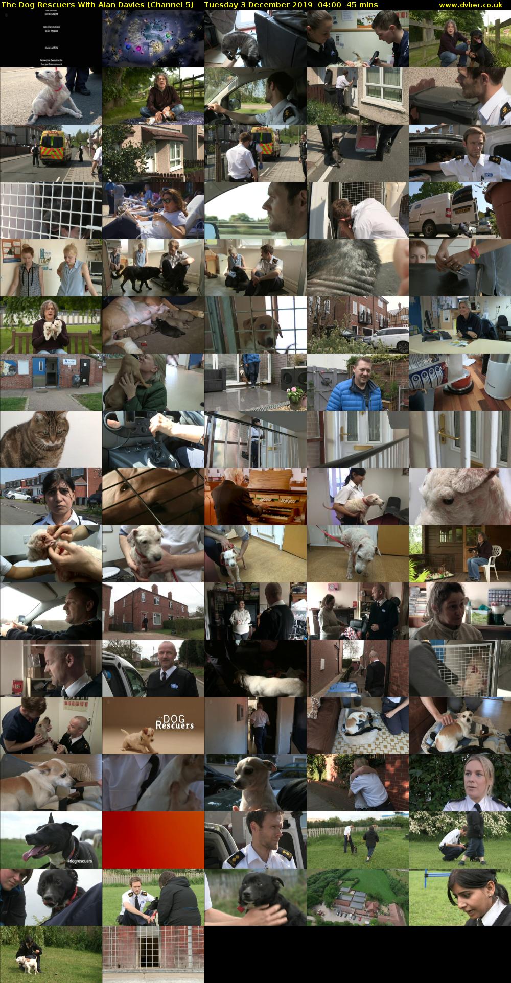 The Dog Rescuers With Alan Davies (Channel 5) Tuesday 3 December 2019 04:00 - 04:45