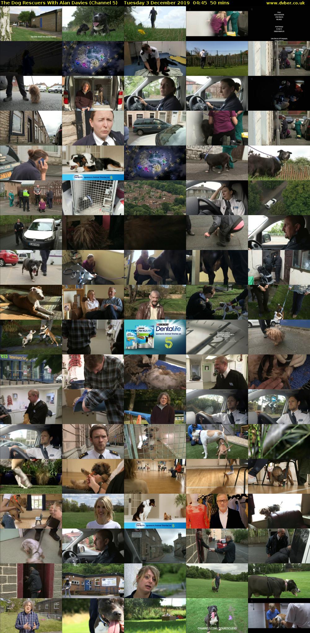 The Dog Rescuers With Alan Davies (Channel 5) Tuesday 3 December 2019 04:45 - 05:35