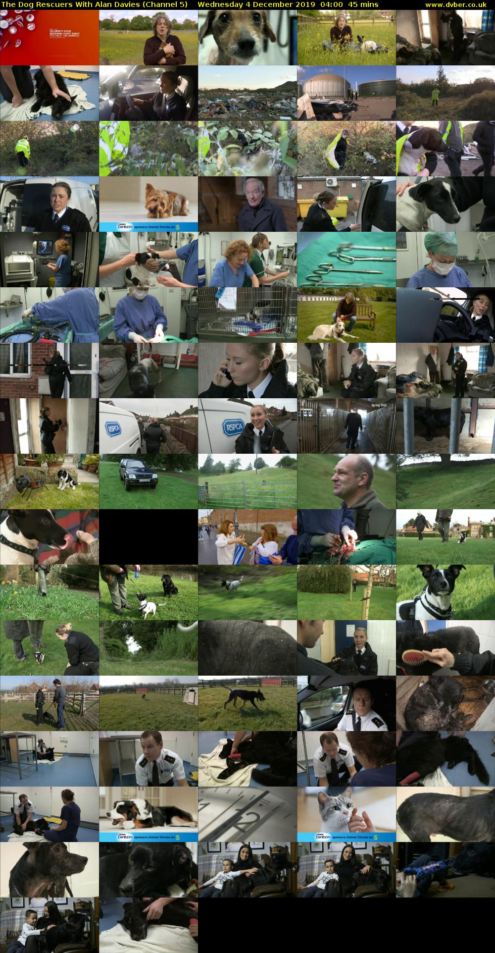 The Dog Rescuers With Alan Davies (Channel 5) Wednesday 4 December 2019 04:00 - 04:45