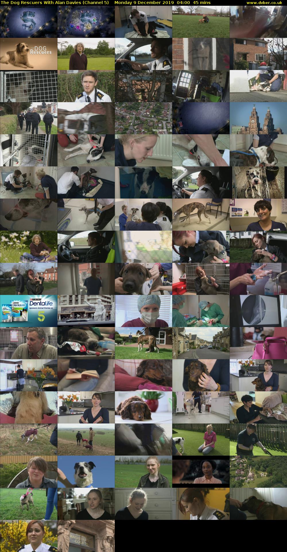 The Dog Rescuers With Alan Davies (Channel 5) Monday 9 December 2019 04:00 - 04:45