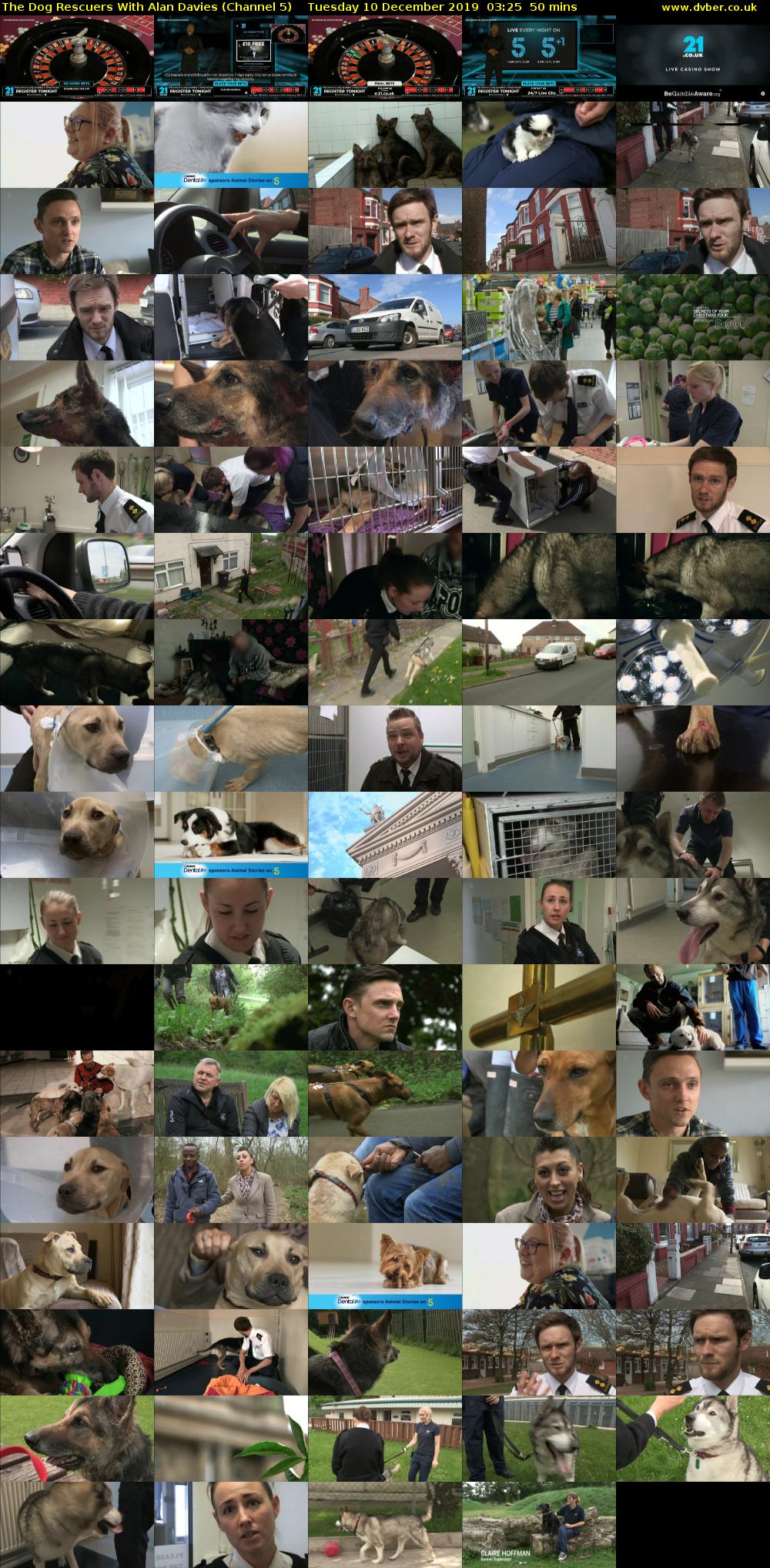 The Dog Rescuers With Alan Davies (Channel 5) Tuesday 10 December 2019 03:25 - 04:15