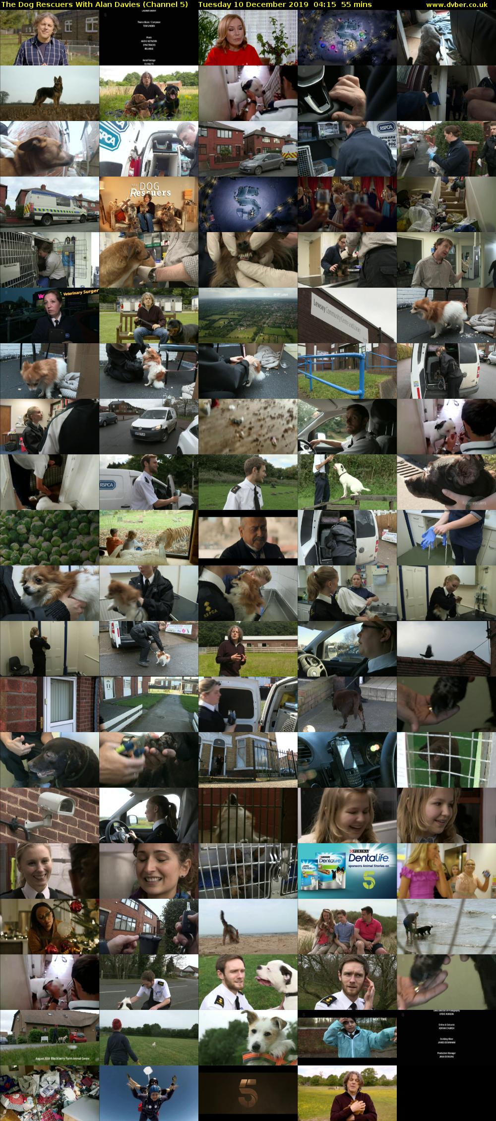 The Dog Rescuers With Alan Davies (Channel 5) Tuesday 10 December 2019 04:15 - 05:10