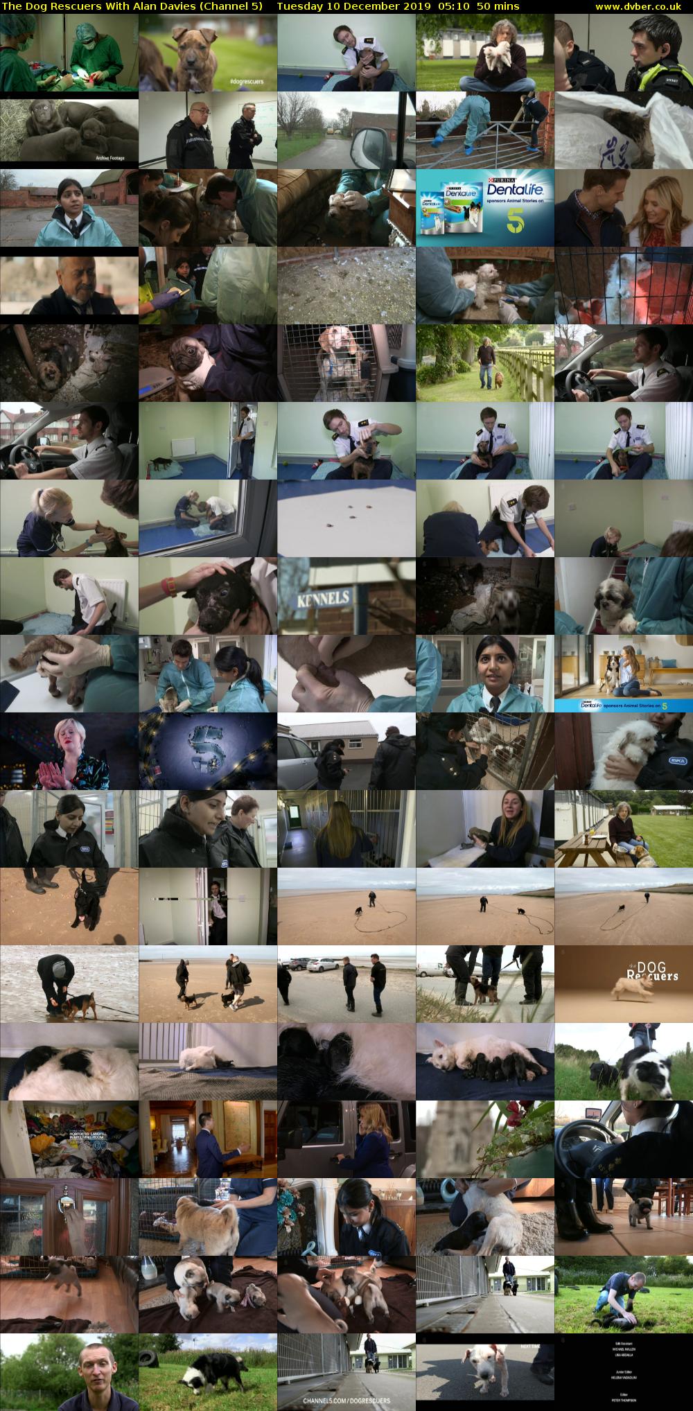 The Dog Rescuers With Alan Davies (Channel 5) Tuesday 10 December 2019 05:10 - 06:00