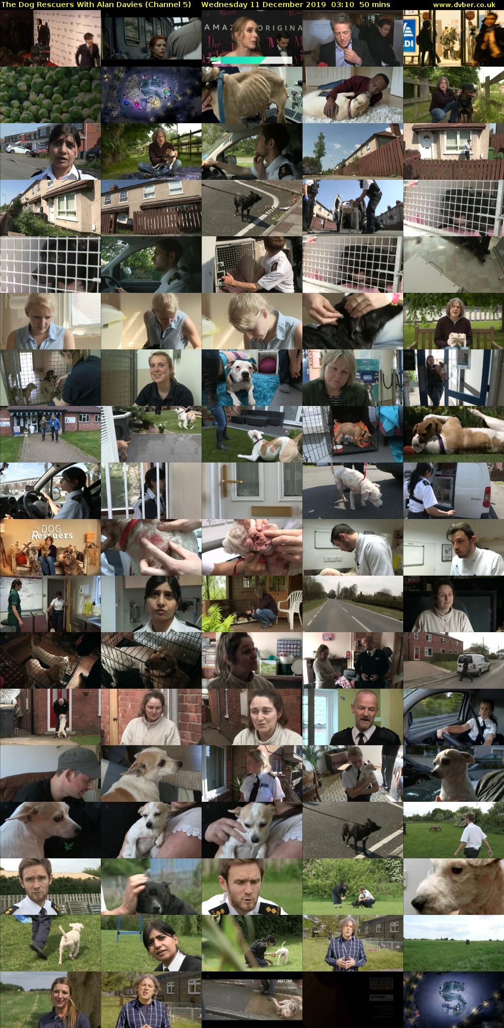 The Dog Rescuers With Alan Davies (Channel 5) Wednesday 11 December 2019 03:10 - 04:00