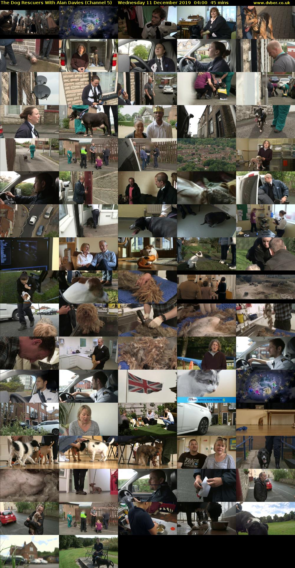 The Dog Rescuers With Alan Davies (Channel 5) Wednesday 11 December 2019 04:00 - 04:45