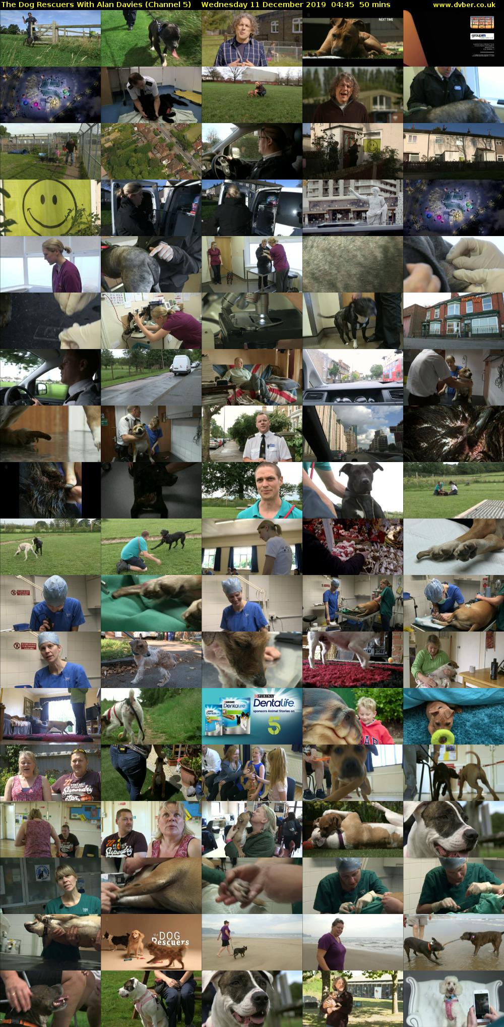 The Dog Rescuers With Alan Davies (Channel 5) Wednesday 11 December 2019 04:45 - 05:35