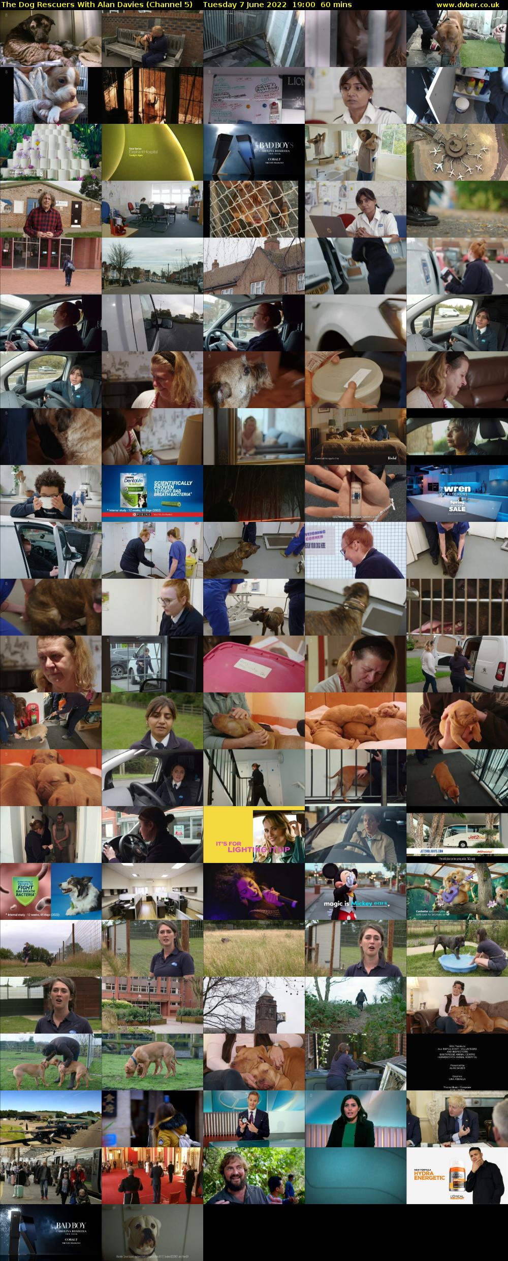 The Dog Rescuers With Alan Davies (Channel 5) Tuesday 7 June 2022 19:00 - 20:00