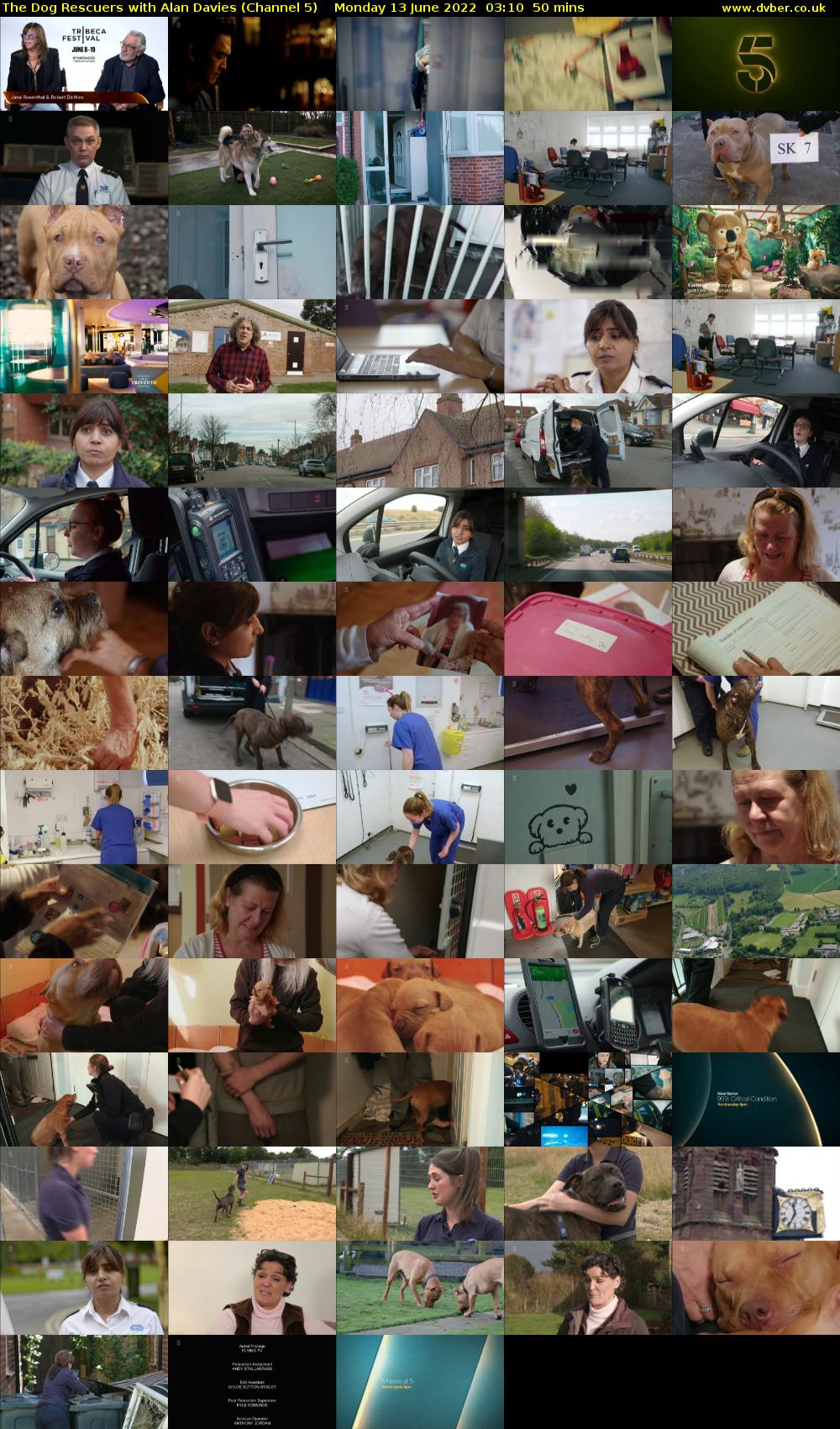 The Dog Rescuers With Alan Davies (Channel 5) Monday 13 June 2022 03:10 - 04:00