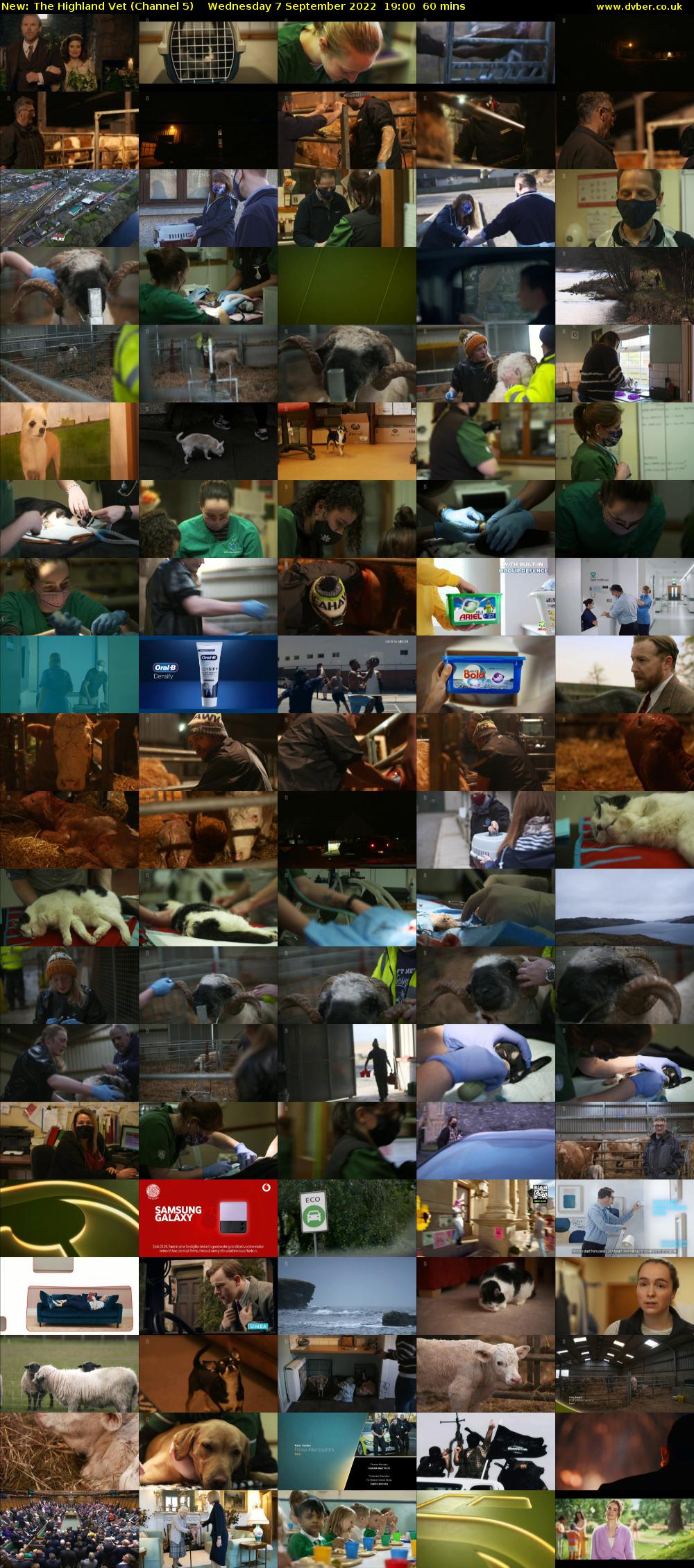The Highland Vet (Channel 5) Wednesday 7 September 2022 19:00 - 20:00
