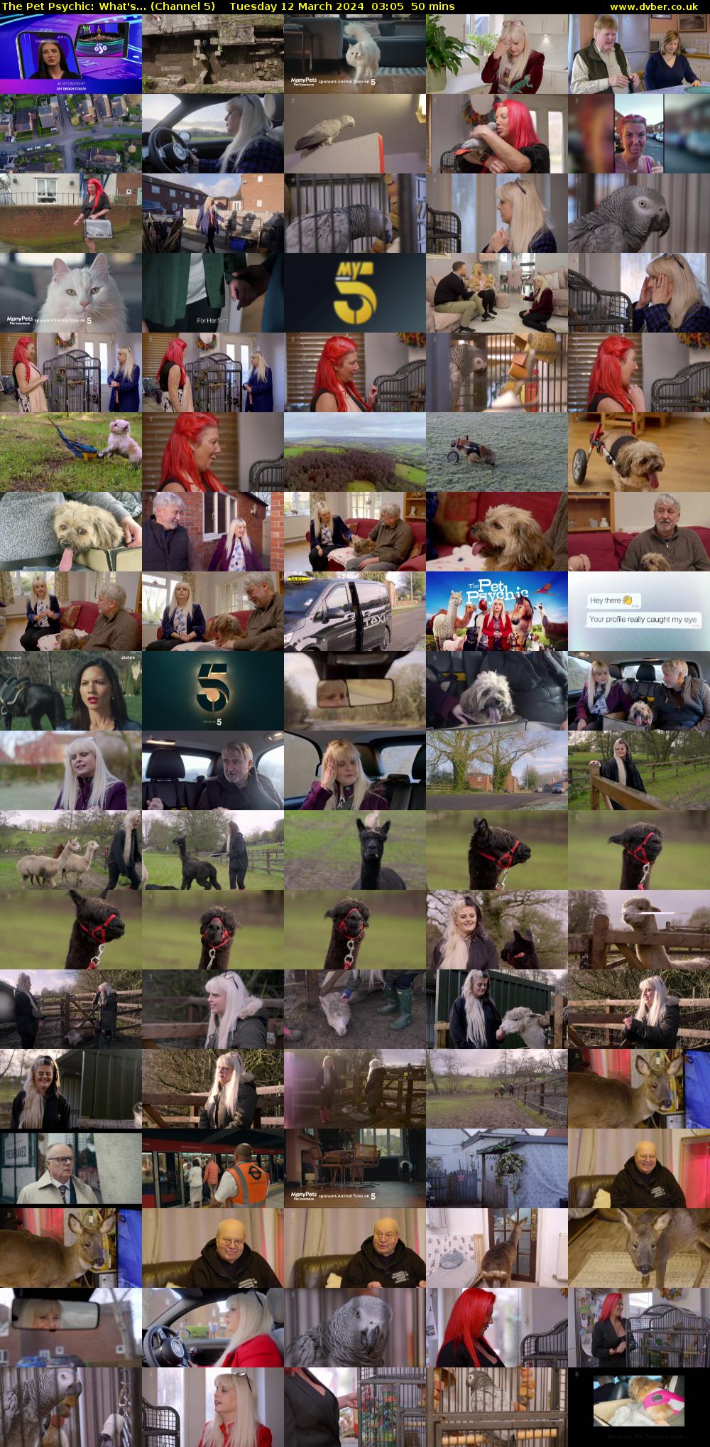 The Pet Psychic: What's... (Channel 5) Tuesday 12 March 2024 03:05 - 03:55