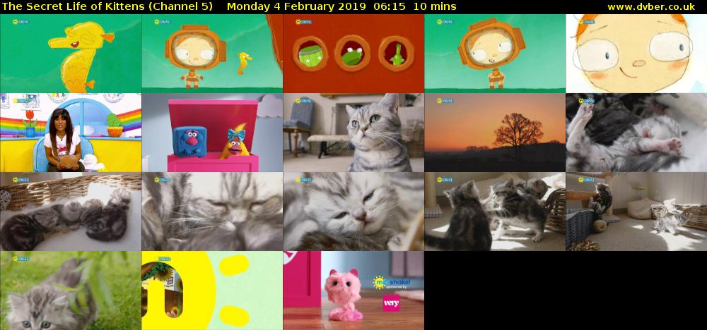 The Secret Life of Kittens (Channel 5) Monday 4 February 2019 06:15 - 06:25